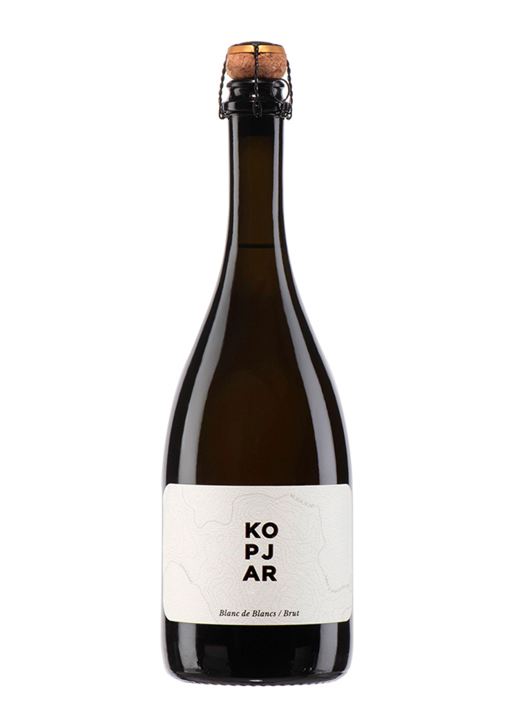 Pjenušac Blanc de Blancs 2023